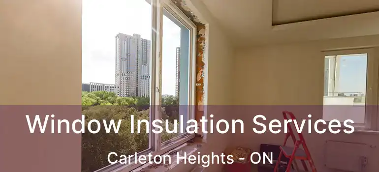  Window Insulation Services Carleton Heights - ON