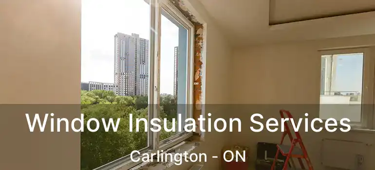  Window Insulation Services Carlington - ON