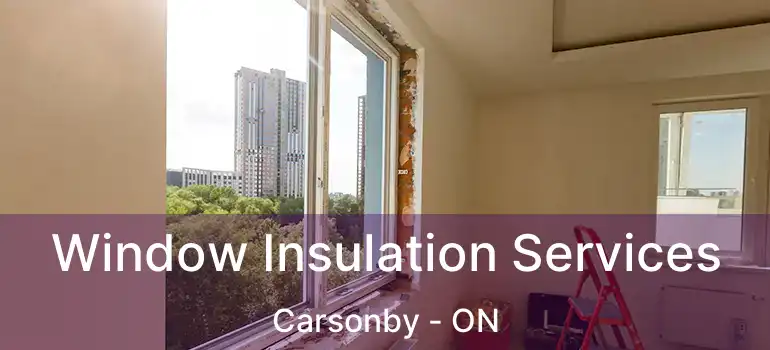  Window Insulation Services Carsonby - ON