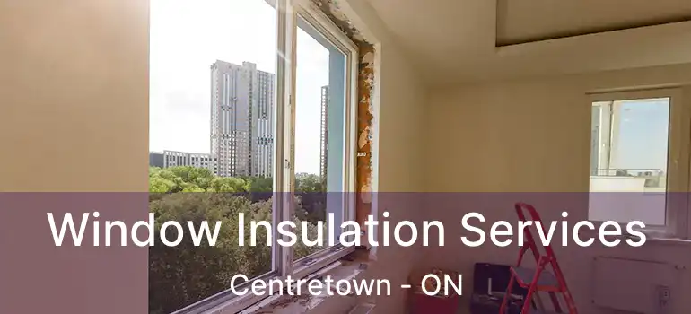  Window Insulation Services Centretown - ON