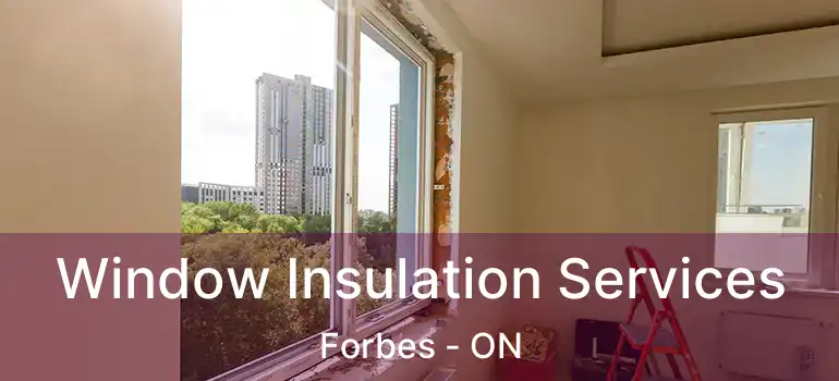  Window Insulation Services Forbes - ON