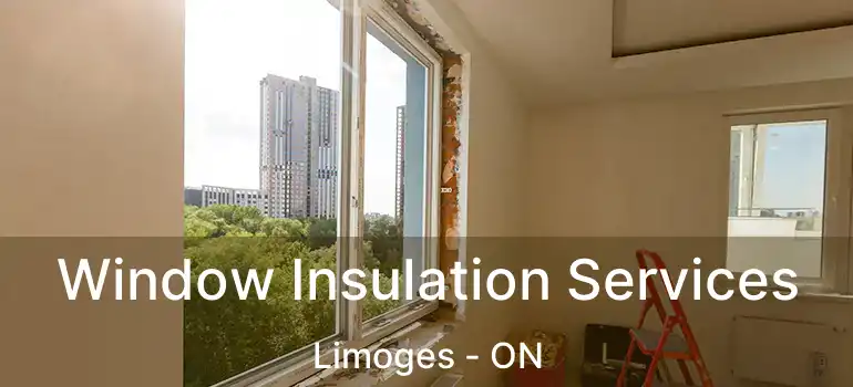  Window Insulation Services Limoges - ON