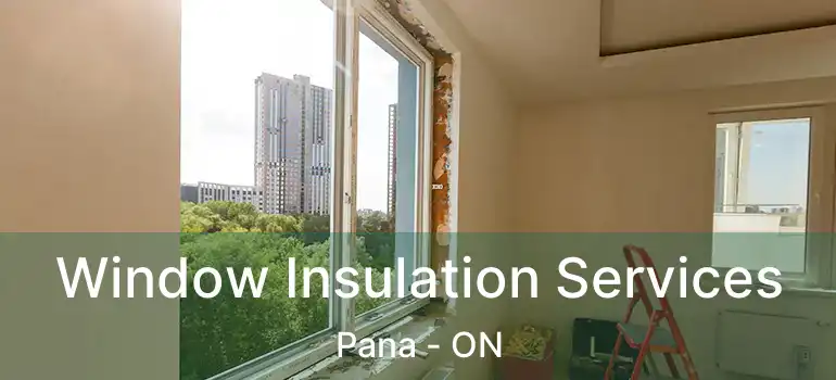  Window Insulation Services Pana - ON