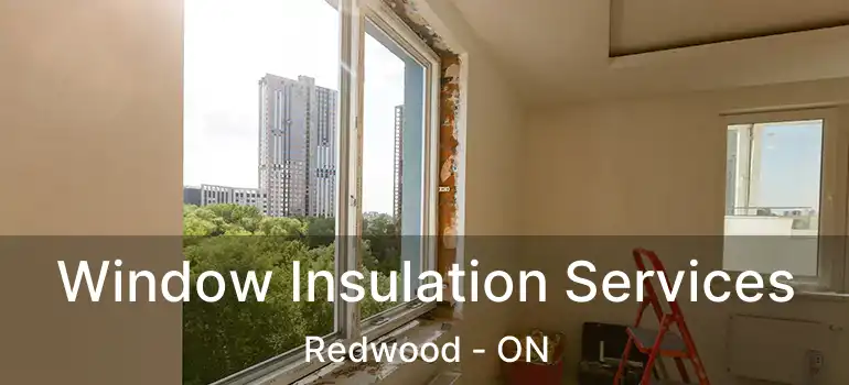  Window Insulation Services Redwood - ON