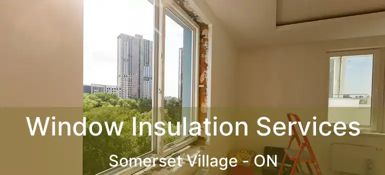  Window Insulation Services Somerset Village - ON