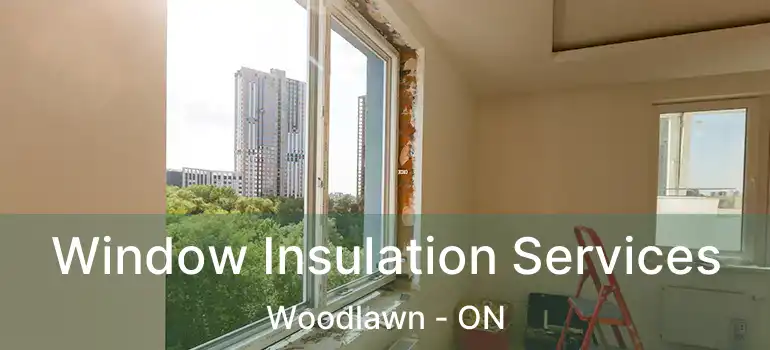  Window Insulation Services Woodlawn - ON