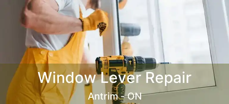  Window Lever Repair Antrim - ON