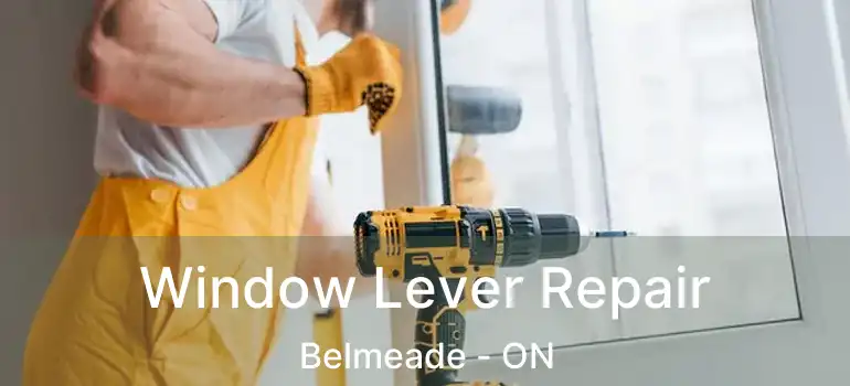  Window Lever Repair Belmeade - ON