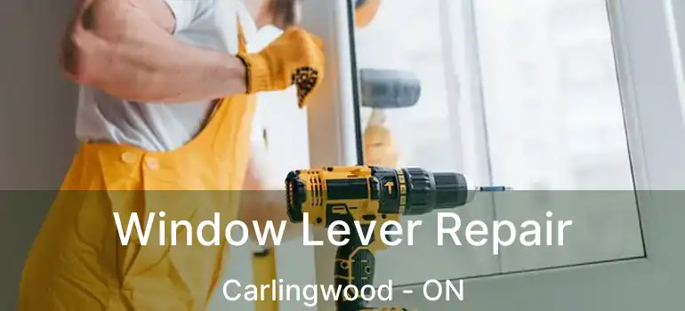  Window Lever Repair Carlingwood - ON