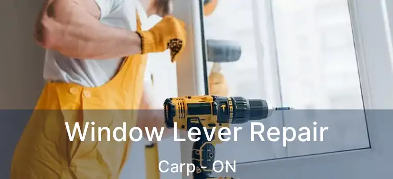  Window Lever Repair Carp - ON