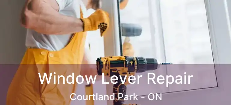  Window Lever Repair Courtland Park - ON