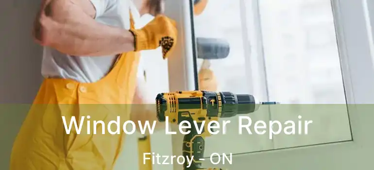  Window Lever Repair Fitzroy - ON