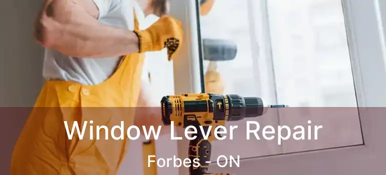  Window Lever Repair Forbes - ON