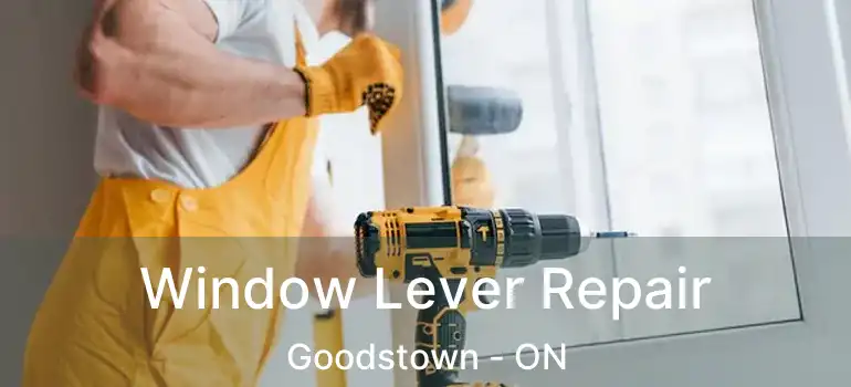  Window Lever Repair Goodstown - ON