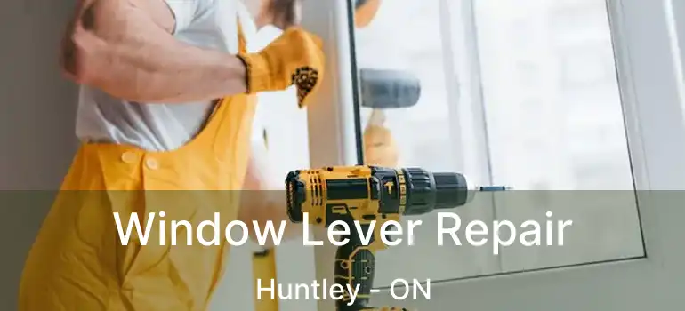  Window Lever Repair Huntley - ON