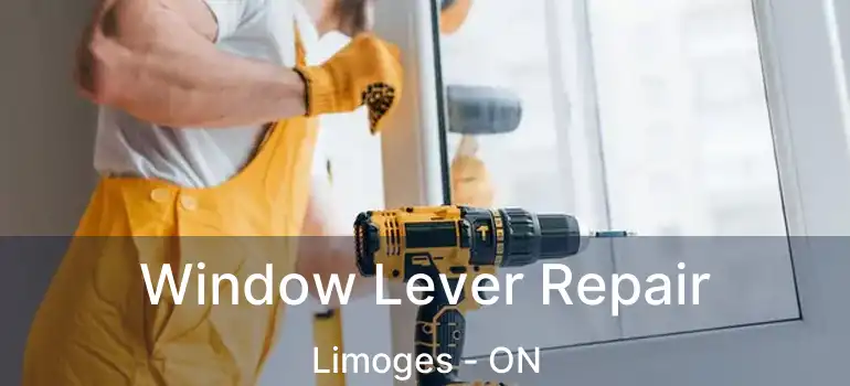  Window Lever Repair Limoges - ON