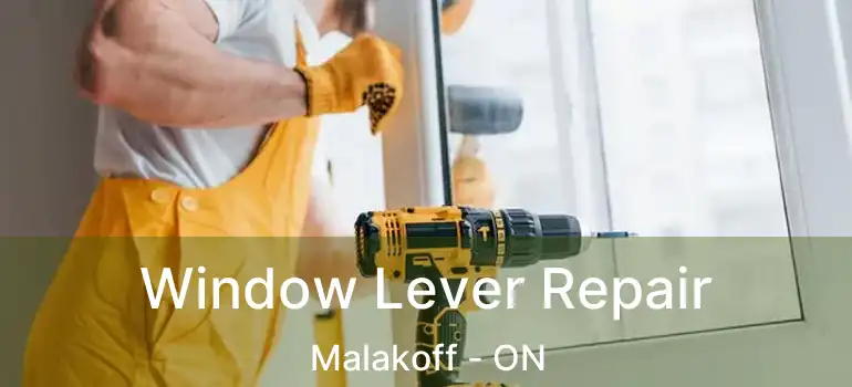  Window Lever Repair Malakoff - ON