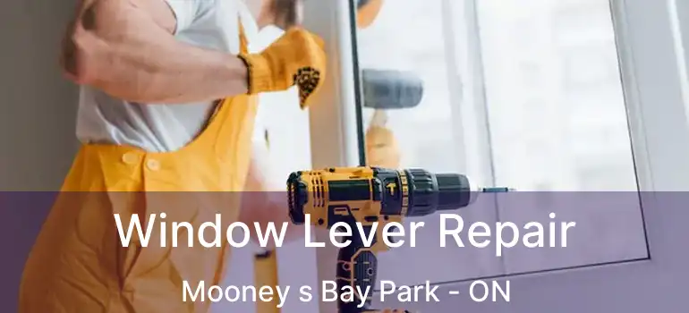  Window Lever Repair Mooney s Bay Park - ON