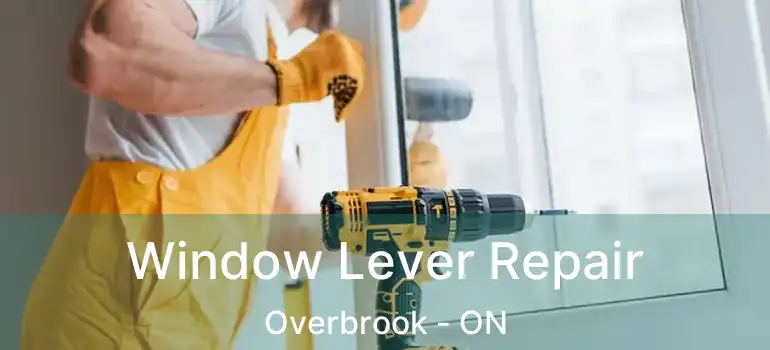  Window Lever Repair Overbrook - ON