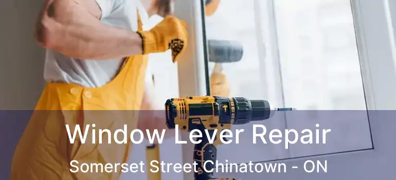  Window Lever Repair Somerset Street Chinatown - ON