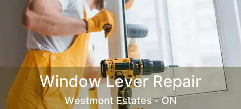  Window Lever Repair Westmont Estates - ON