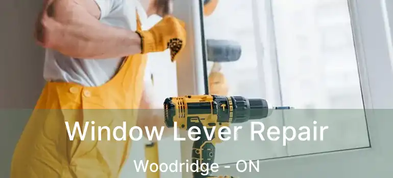  Window Lever Repair Woodridge - ON