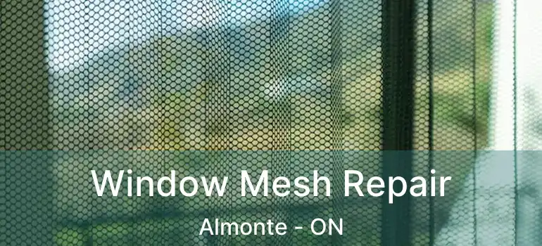  Window Mesh Repair Almonte - ON