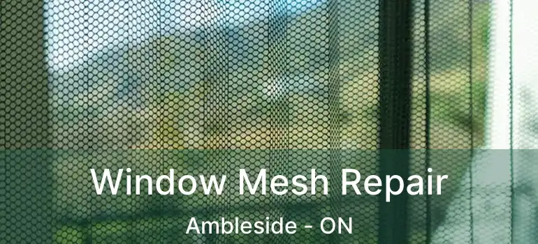  Window Mesh Repair Ambleside - ON