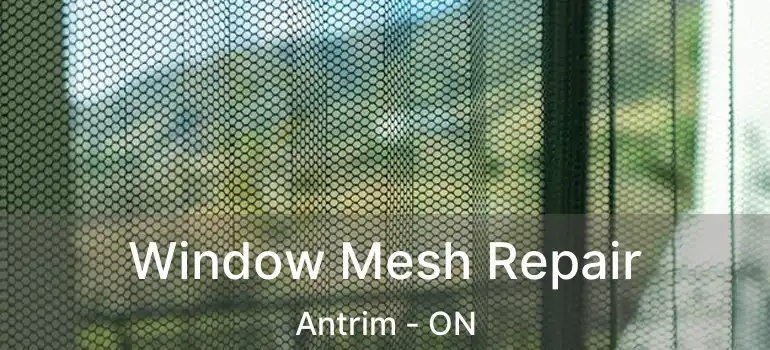  Window Mesh Repair Antrim - ON