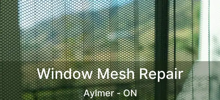  Window Mesh Repair Aylmer - ON