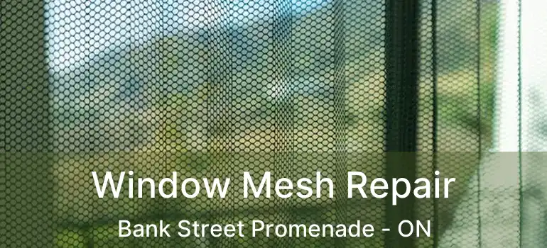  Window Mesh Repair Bank Street Promenade - ON