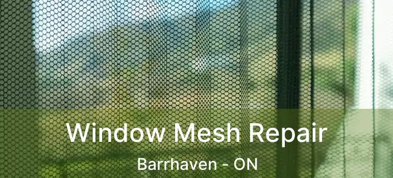  Window Mesh Repair Barrhaven - ON