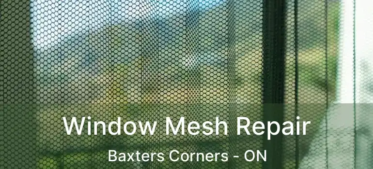  Window Mesh Repair Baxters Corners - ON