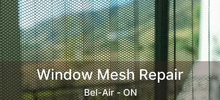  Window Mesh Repair Bel-Air - ON