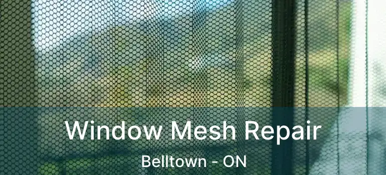  Window Mesh Repair Belltown - ON