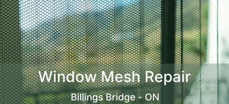  Window Mesh Repair Billings Bridge - ON