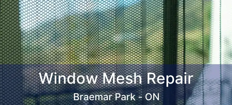  Window Mesh Repair Braemar Park - ON