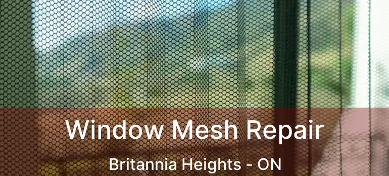  Window Mesh Repair Britannia Heights - ON