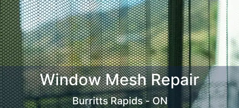  Window Mesh Repair Burritts Rapids - ON