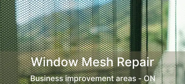  Window Mesh Repair Business improvement areas - ON