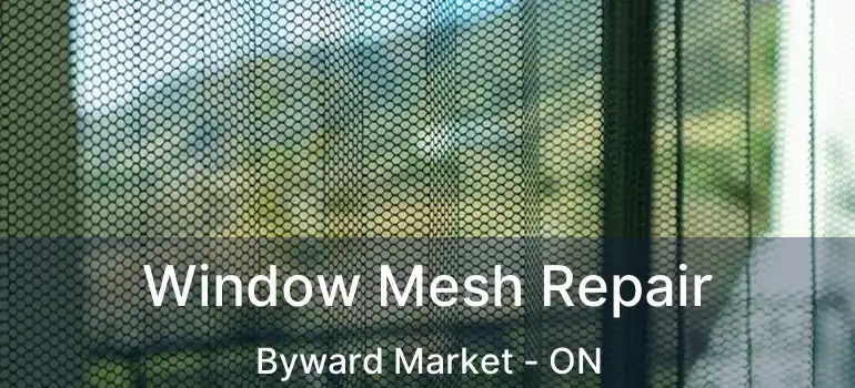  Window Mesh Repair Byward Market - ON