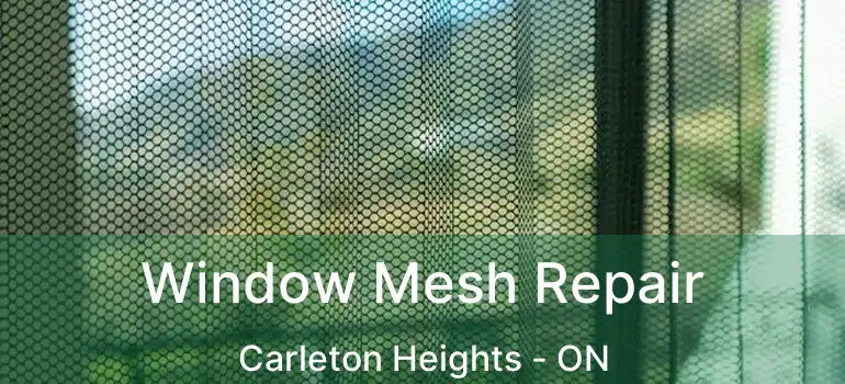  Window Mesh Repair Carleton Heights - ON