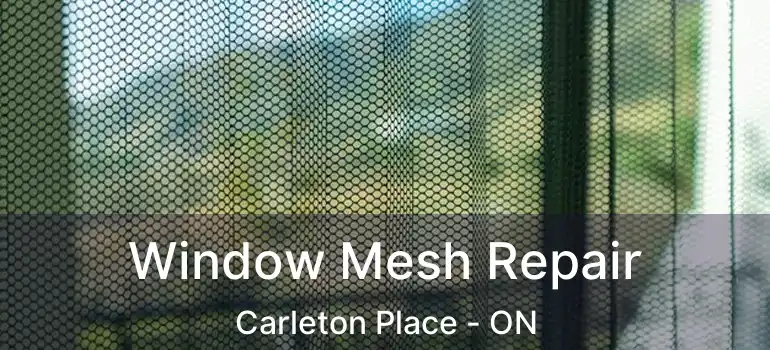  Window Mesh Repair Carleton Place - ON