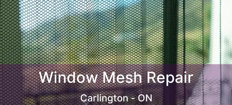  Window Mesh Repair Carlington - ON