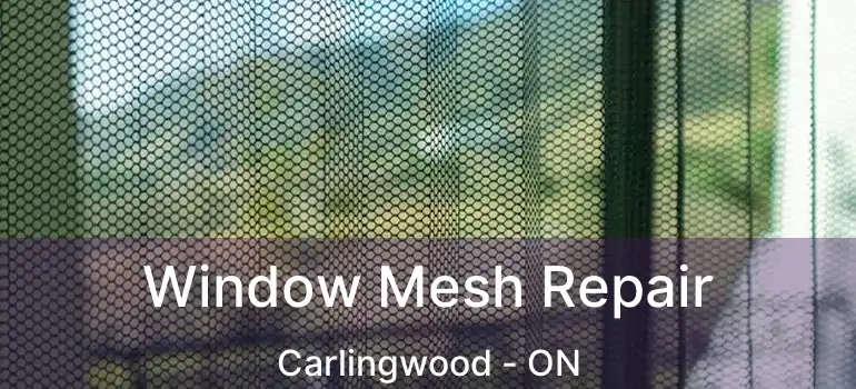  Window Mesh Repair Carlingwood - ON