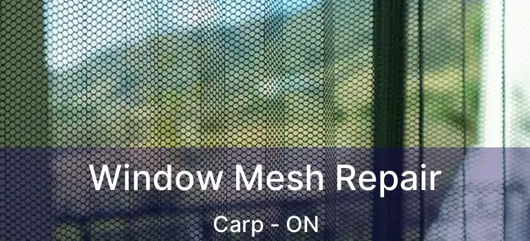  Window Mesh Repair Carp - ON