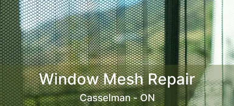  Window Mesh Repair Casselman - ON