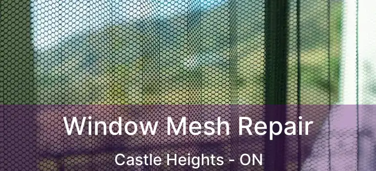  Window Mesh Repair Castle Heights - ON