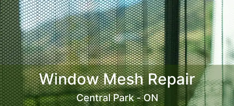  Window Mesh Repair Central Park - ON