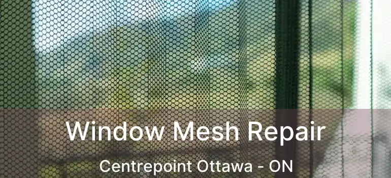  Window Mesh Repair Centrepoint Ottawa - ON